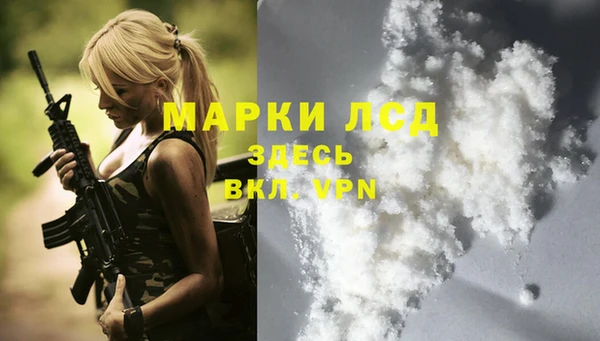 ПСИЛОЦИБИНОВЫЕ ГРИБЫ Балабаново
